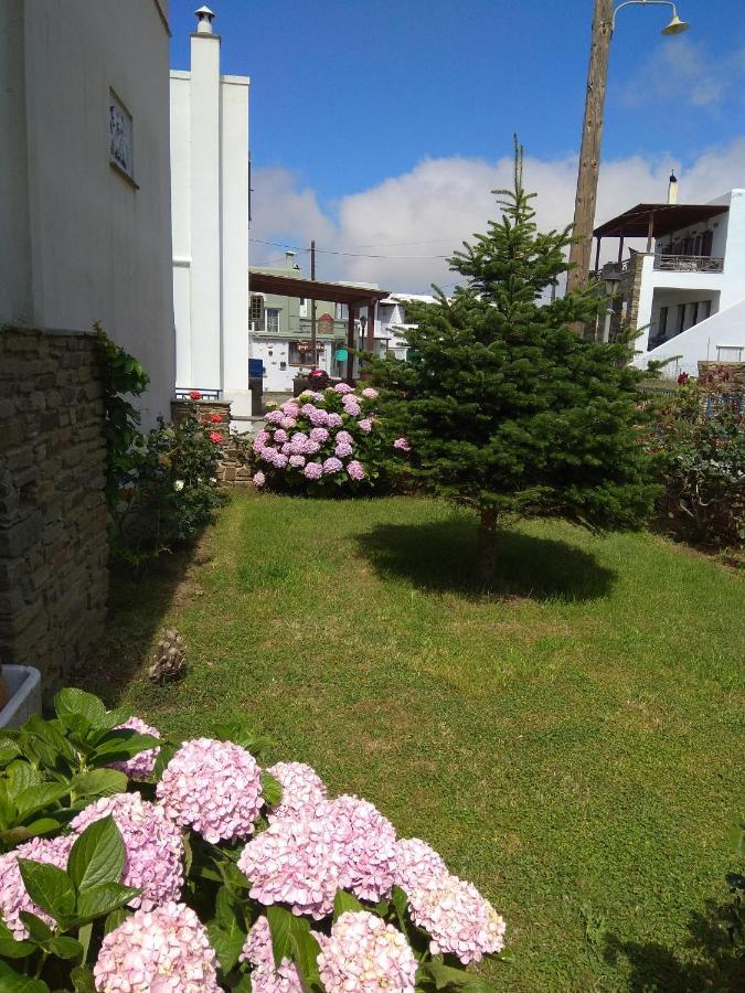 Ampeloessa Apartment Mesi  Luaran gambar