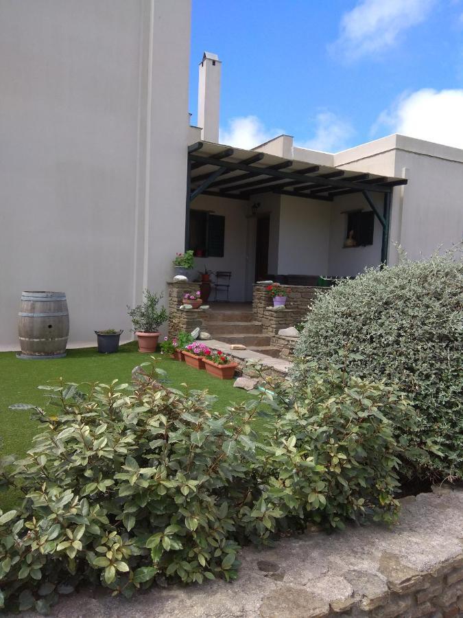 Ampeloessa Apartment Mesi  Luaran gambar